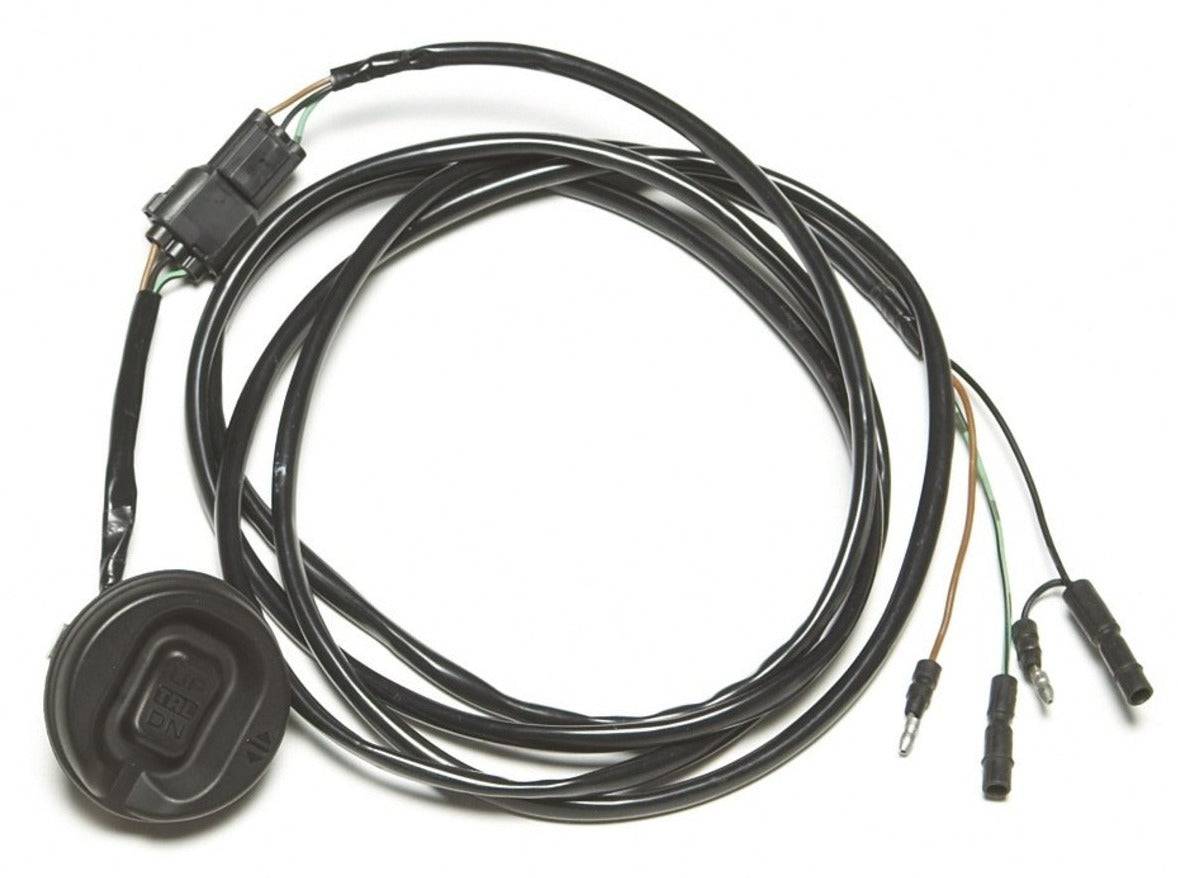 Honda Trolling Control switch & Outboard Outlet